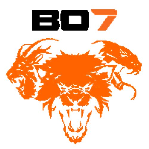 BO6